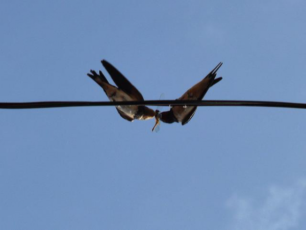 坤鵬論：傳統(tǒng)企業(yè)招不到互聯(lián)網(wǎng)人才 99%是你自己的錯(cuò)！-自媒體