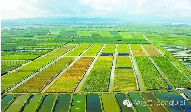 地方號運(yùn)營