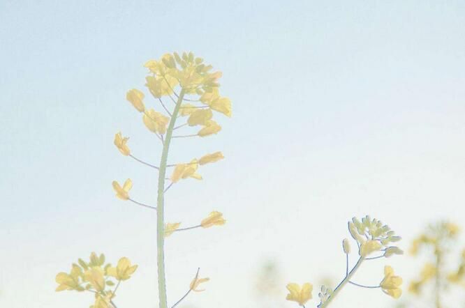 一個網站合作建設的詳細流程