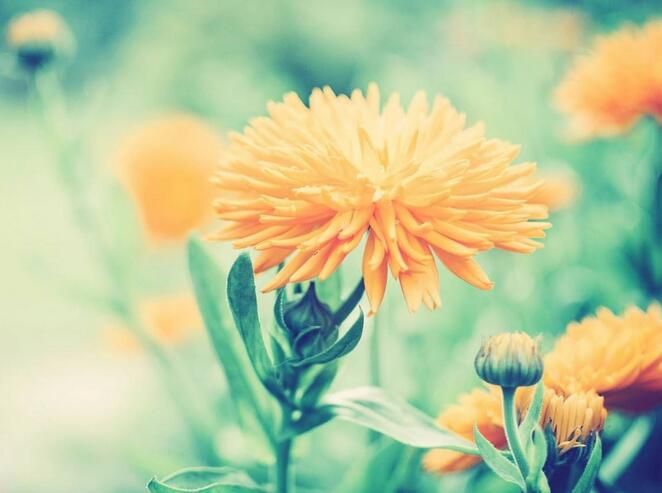 什么樣的廣州網(wǎng)站建設(shè)才是最合適的