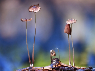 企業(yè)網(wǎng)站建設(shè)