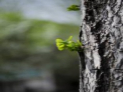 高端網(wǎng)站建設(shè)公司